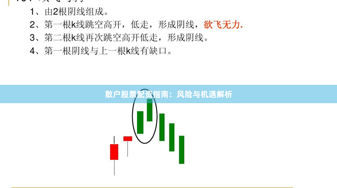 散户股票配资指南：风险与机遇解析