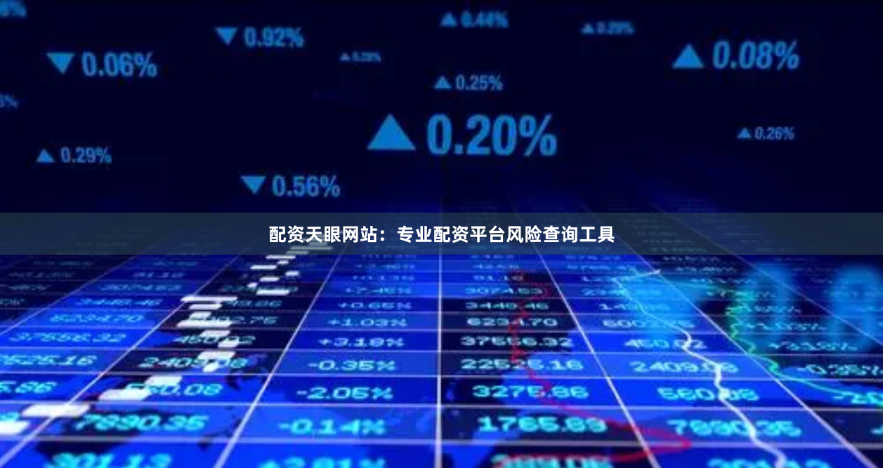 配资天眼网站：专业配资平台风险查询工具